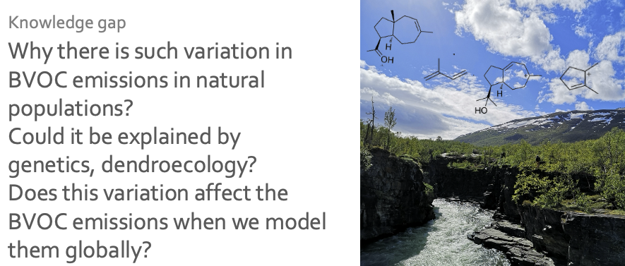 Description of the image