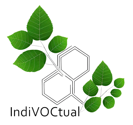 indiVOCtual
